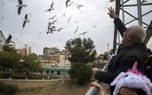  مشاهده 3176 قطعه پرنده در سرشماری پرندگان تهران